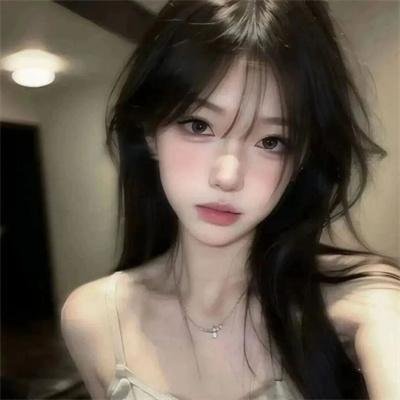 高速路上一只猫