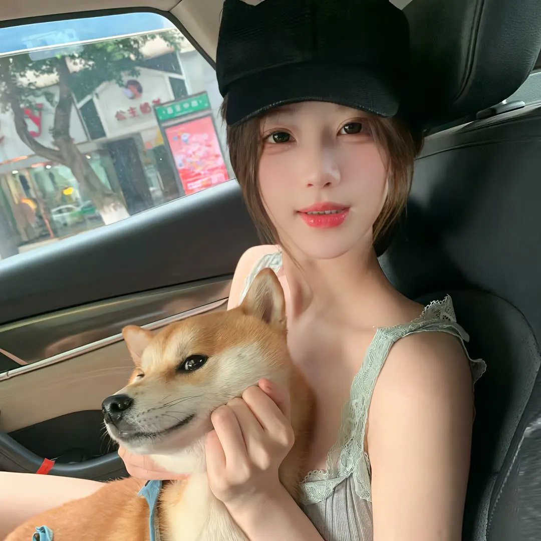 慈膳救援